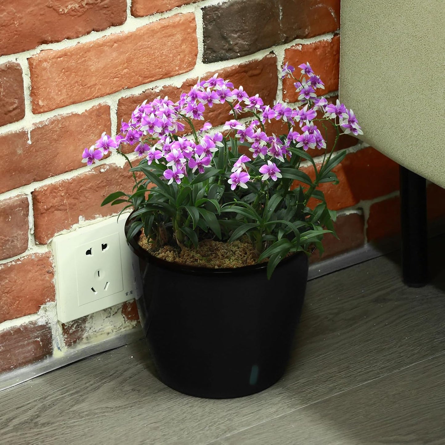 5 Inch Self Watering Pots for Indoor Plants, 6 Packs African Violet Pots with Indicator, Black Wick Pot with Drainage Holes, Self Watering Planters for Orchid, Devil'S Ivy, Black