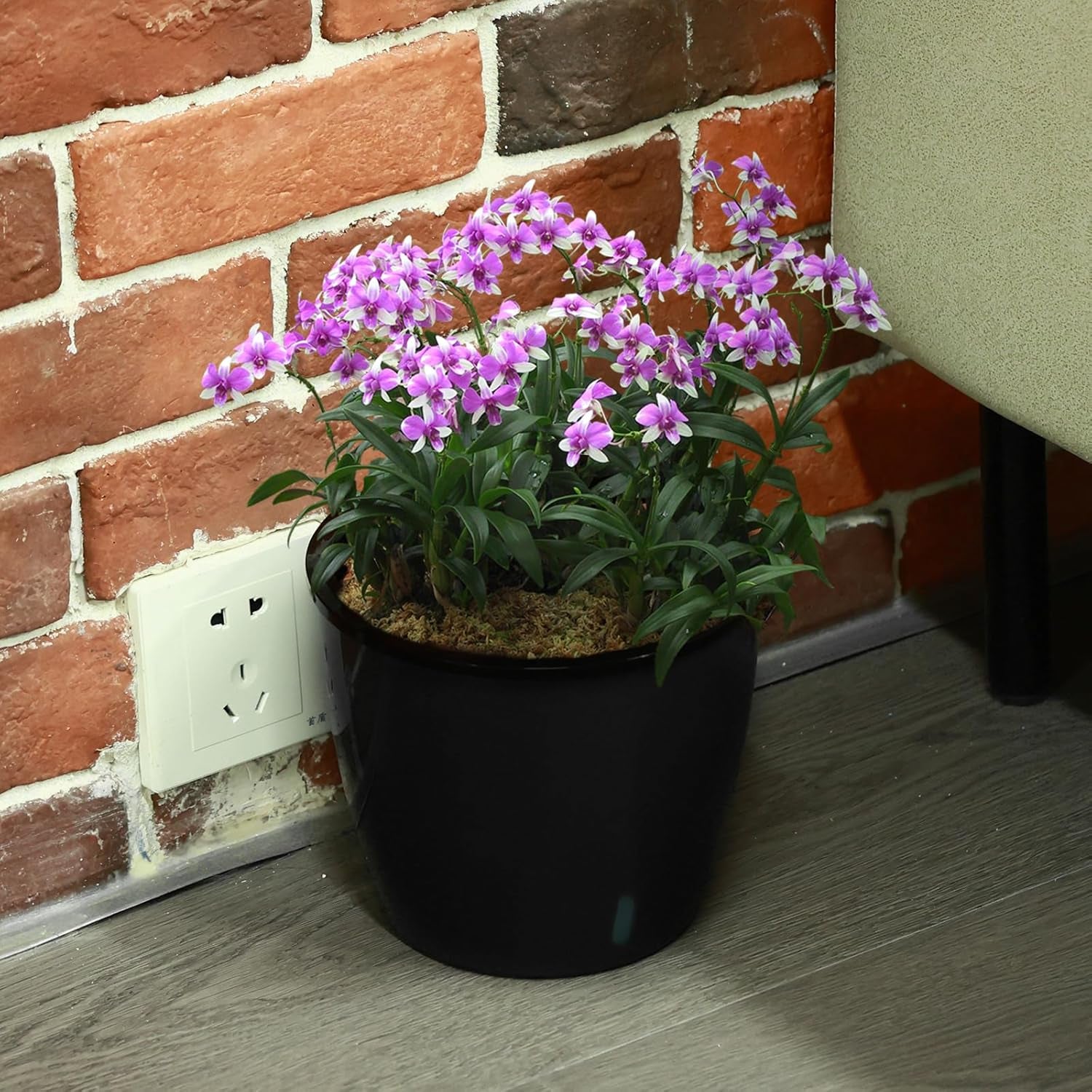 5 Inch Self Watering Pots for Indoor Plants, 6 Packs African Violet Pots with Indicator, Black Wick Pot with Drainage Holes, Self Watering Planters for Orchid, Devil'S Ivy, Black