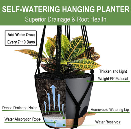 3 Pack Self Watering Hanging Planters Macrame Plant Hangers with Indoor Flower Pots 10" / 8" / 7", 3 Different Size Hanging Basket, Plant Hanger with Hooks for Garden Home Decor Black Large